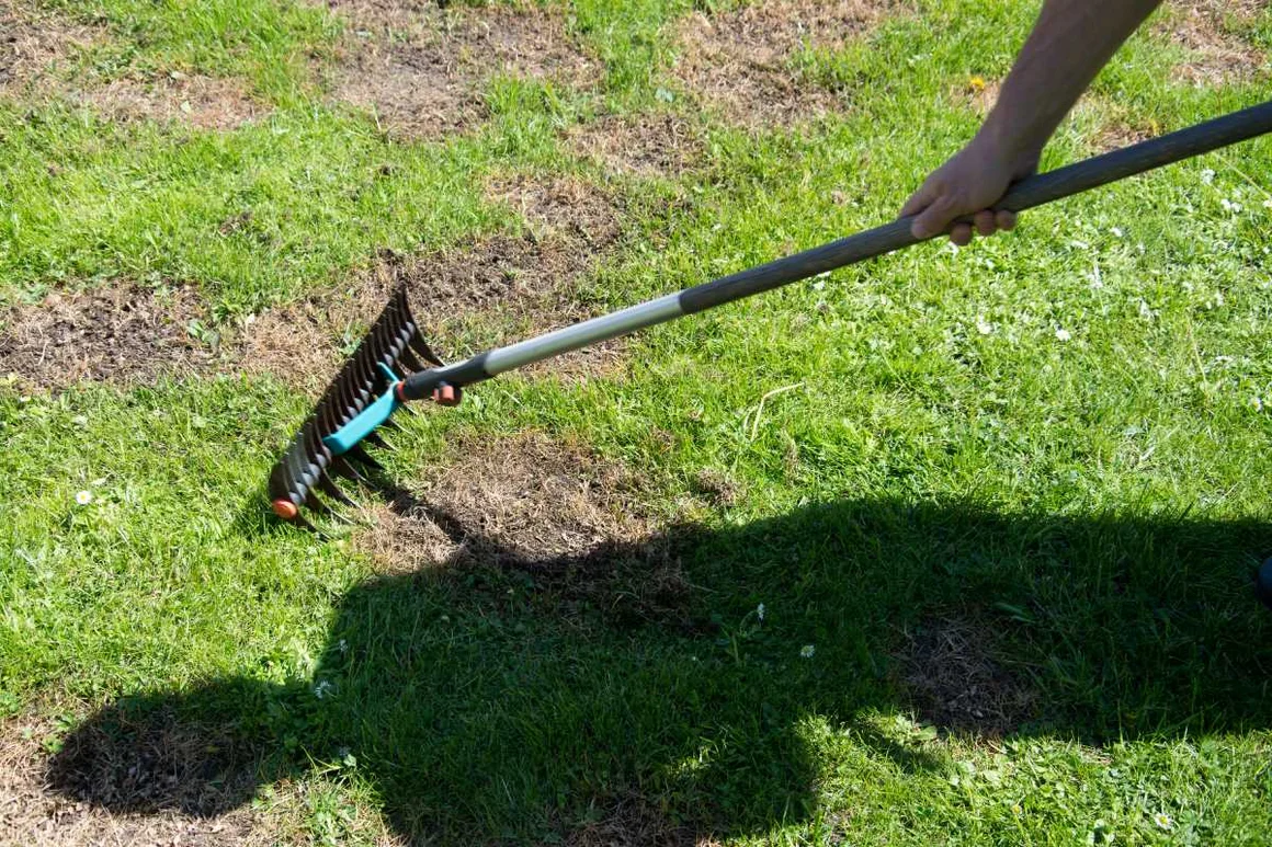 Person recht Rasen mit einem Rechen